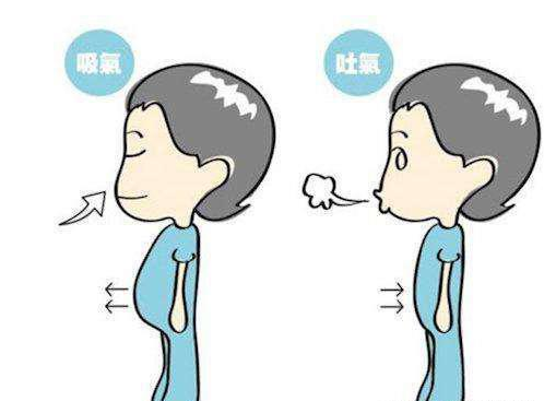 5f3f5ab3e274c.png 1543888348762040.png