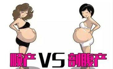 1541658744769715.jpeg 1.jpg