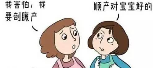 1541658813827571.jpeg 2.jpg